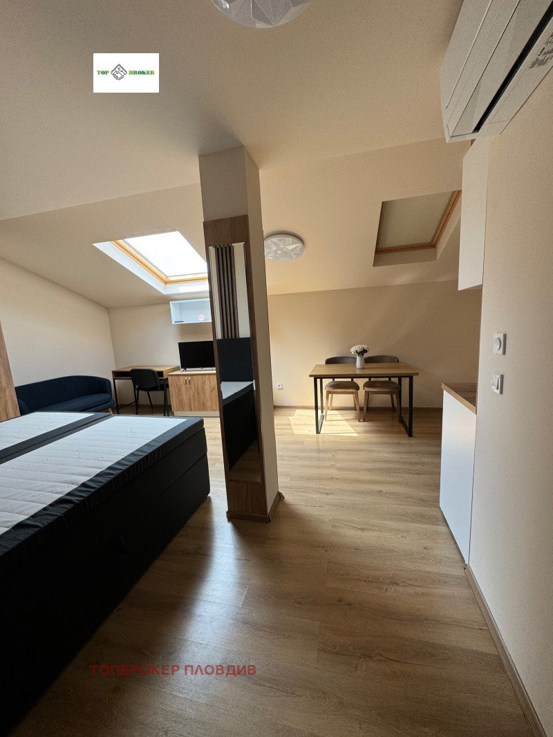 Spacious studio-apartment — photo 5 (Plovdiv Center, Plovdiv)