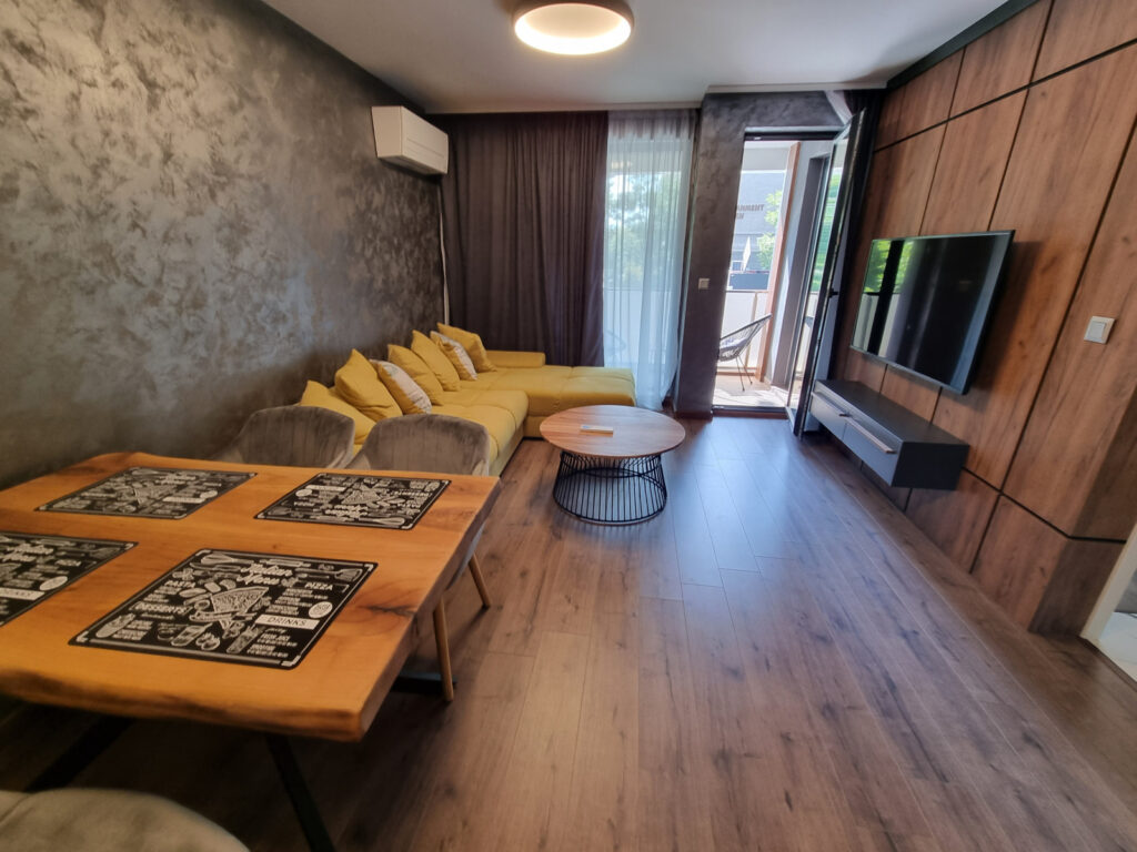 Super luxury 1-bedroom apartment